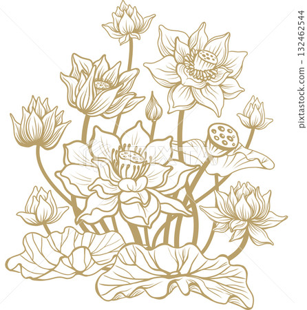 Vector illustration with blooming lotus flowers Vector illustration with blooming lotus flowers 132462544