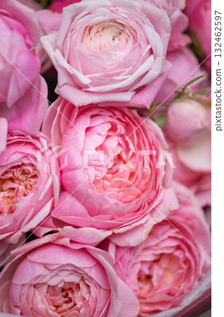 Spring bouquet of mixed flowers on vintage gray wall background behind Spring bouquet of mixed flowers on vintage gray wall background behind 132462597
