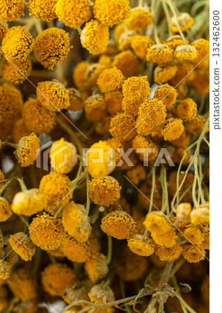 Dried tansy flowers macro close-up in natural light Dried tansy flowers macro close-up in natural light 132462600