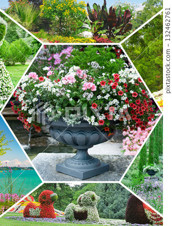Botanical Garden Collage with Hexagonal Flowerbed Accent 132462761