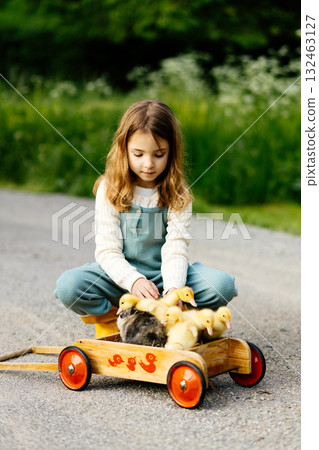 Girl carrying ducklings and baby bunnies on wooden toy cart. 132463127