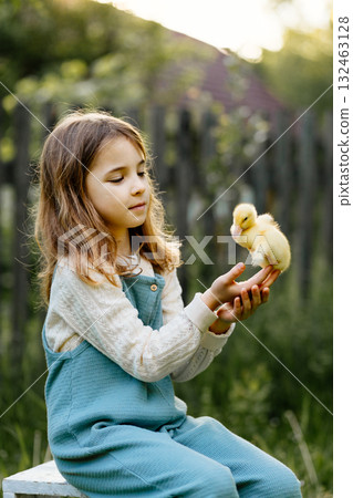 Girl holding duckling in palms. 132463128