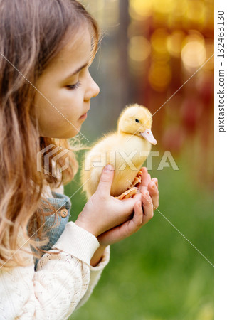 Lovely girl cuddling baby duckling. Lovely girl cuddling baby duckling. 132463130