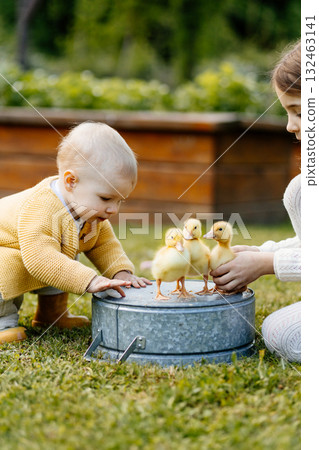 Older sister showing little ducklings to toddler girl. Older sister showing little ducklings to toddler girl. 132463141