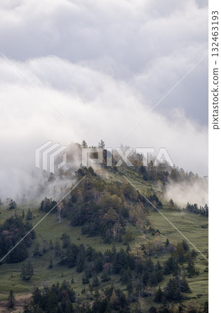 A sea of clouds covering the high moorland, Yoshigahira begins to turn autumn colors A sea of clouds covering the high moorland, Yoshigahira begins to turn autumn colors 132463193