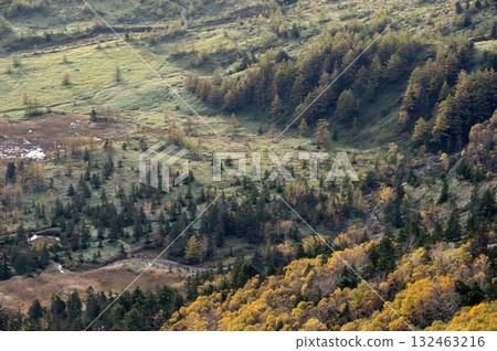 Shiga Kogen wetlands and vast plateau vegetation in autumn Shiga Kogen wetlands and vast plateau vegetation in autumn 132463216