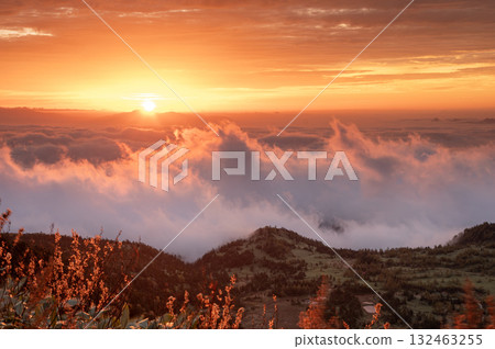 Shiga Kogen sunrise and the sea of clouds below Shiga Kogen sunrise and the sea of clouds below 132463255