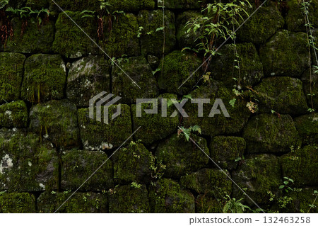 茂密的青苔覆蓋的石牆 1 茂密的青苔覆蓋的石牆 1 132463258