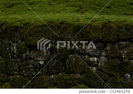 一道石牆，上面長著一層厚厚的苔蘚 132463259