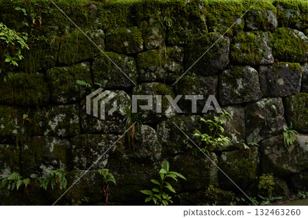 Lush moss-covered stone wall 2 132463260