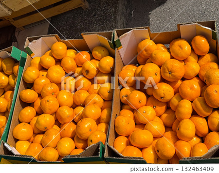 Fresh oranges in cardboard boxes at market. Seasonal fruit, natural abundance, and healthy vitamin source in everyday life. 132463409