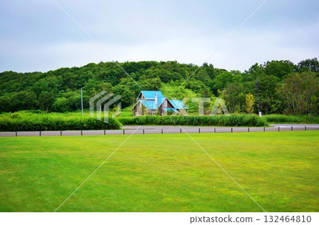 北側櫻森公園景觀 北側櫻森公園景觀 132464810