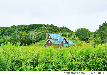 北側櫻森公園景觀 132464811