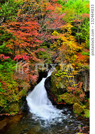 Autumn leaves at Ryuzu Falls in Oku-Nikko 132464833