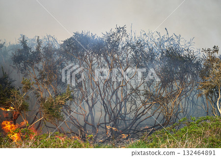 Wildfires fire burning with a lot of smoke, firefighters Wildfires fire burning with a lot of smoke, firefighters 132464891