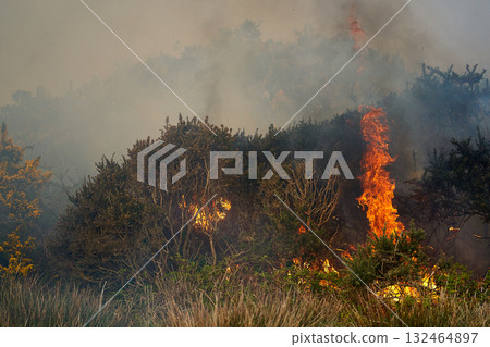 Wildfires fire burning with a lot of smoke, firefighters 132464897