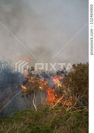 Wildfires fire burning with a lot of smoke, firefighters Wildfires fire burning with a lot of smoke, firefighters 132464900