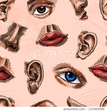 Human face parts or sensory organs seamless pattern. Nose, ear, eyes, mouth and lips. Hand drawn 132464908
