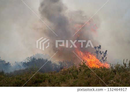 Wildfires fire burning with a lot of smoke, firefighters Wildfires fire burning with a lot of smoke, firefighters 132464917