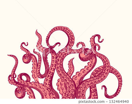 Octopus or Kraken tentacles background. Engraved hand drawn in old sketch, vintage sea monster Octopus or Kraken tentacles background. Engraved hand drawn in old sketch, vintage sea monster 132464940