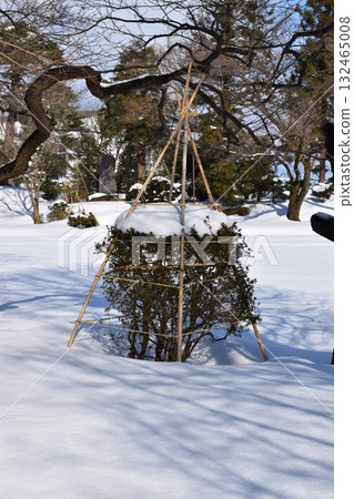樹上積雪的風景 132465008