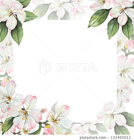 Watercolor floral frame with delicate white and pink apple blossoms and green leaves on white background. Elegant botanical border template for greeting cards, invitations, or posters. Space for text. 132465011
