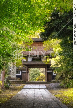 茨城縣笠間市的西念寺,新綠與秋葉初現 茨城縣笠間市的西念寺,新綠與秋葉初現 132465234