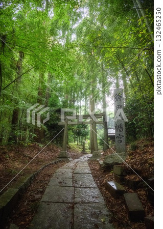 Sainenji Temple in Kasama City, Ibaraki Prefecture, where fresh greenery and autumn leaves have just begun to appear 132465250