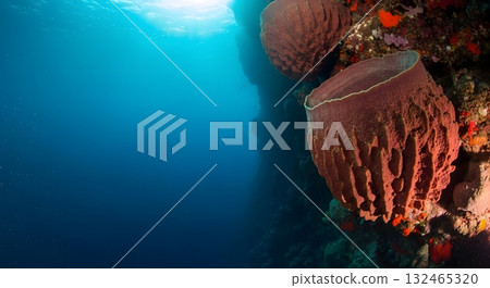 Togean Atoll Deep Reef Wall 132465320