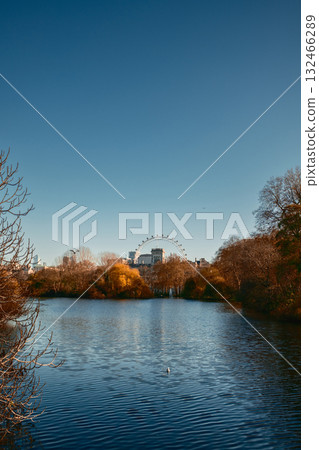 Natural View Of The London Eye Over The River Thames Natural View Of The London Eye Over The River Thames 132466289