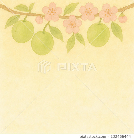 春季水果系列：李子果實和花朵頂視圖背景 132466444