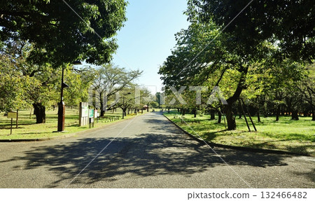 東京都小金井公園 東京都小金井公園 132466482