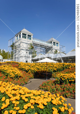 Gunma Flower Park Plus: Twin Towers and Marigold Fields Gunma Flower Park Plus: Twin Towers and Marigold Fields 132466901