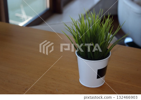 Green decorative plant in white pot on wooden table Green decorative plant in white pot on wooden table 132466903
