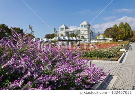 群馬花卉公園及主花園及雙子星大樓 132467031