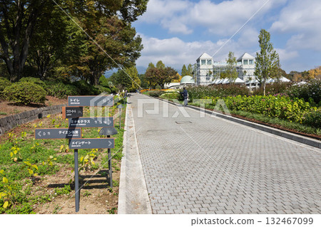 群馬花卉公園及主庭園長廊 132467099