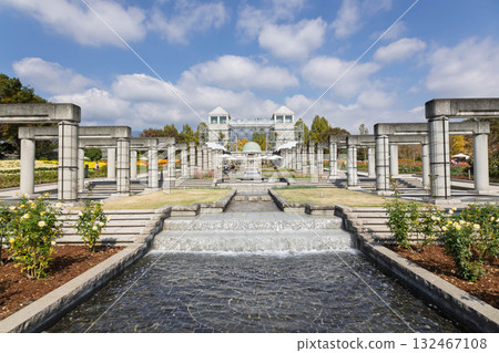 群馬花卉公園及主花園 群馬花卉公園及主花園 132467108