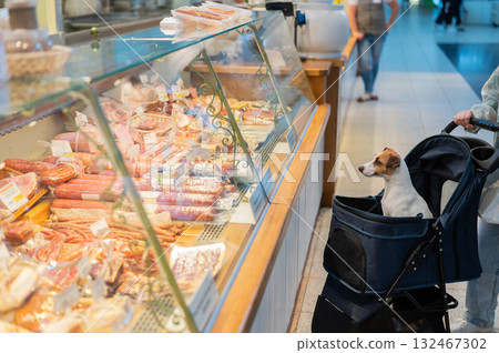 A woman shops at a grocery store with her Jack Russell terrier dog in a stroller. 132467302