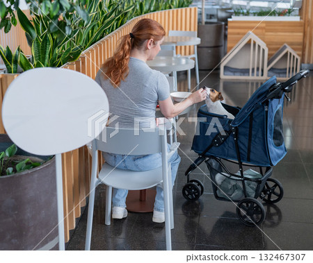 Caucasian woman having lunch in a cafe with her Jack Russell terrier dog in a stroller. Caucasian woman having lunch in a cafe with her Jack Russell terrier dog in a stroller. 132467307