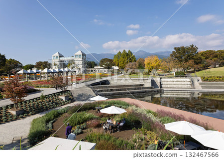 Gunma Flower Park Plus: Minamo Pond and the Twin Towers viewed from the rooftop of Minamo Terrace 132467566