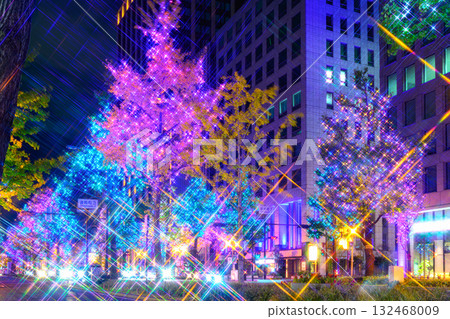 Illuminations of Midosuji 132468009