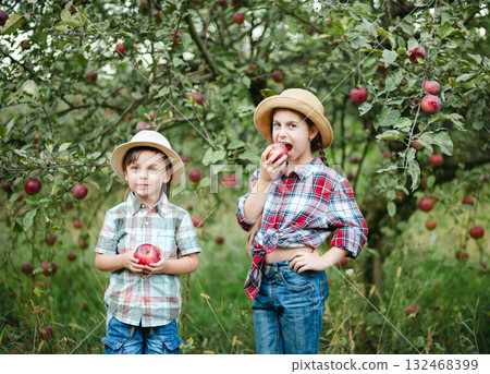 Cheerful boy girl standing apple orchard red apples hands, children dressed checkered shirts, hats. Family picnic, snacks, vitamins, organic fruits. Cheerful boy girl standing apple orchard red apples hands, children dressed checkered shirts, hats. Family picnic, snacks, vitamins, organic fruits. 132468399