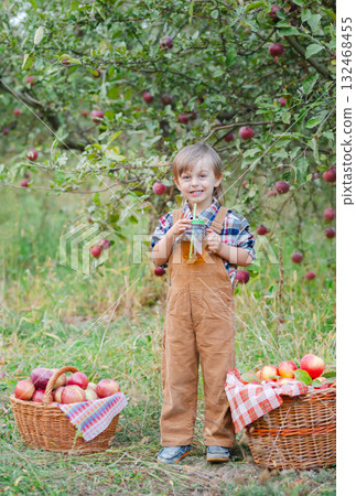 Cute joyful boy standing in middle of an apple orchard with wicker basket, boy takes 132468455
