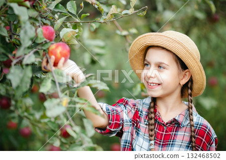 Cheerful girl stands on background an apple orchard with red apples, tastes, enjoys snacks, vitamins, organic fruits. She is dressed in checkered shirt and hat. Cheerful girl stands on background an apple orchard with red apples, tastes, enjoys snacks, vitamins, organic fruits. She is dressed in checkered shirt and hat. 132468502