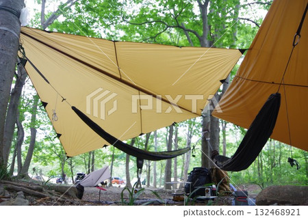 Two tarps and a hammock set up at the campsite Two tarps and a hammock set up at the campsite 132468921