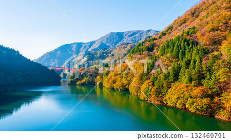 Shogawa Gorge (Autumn) 132469791