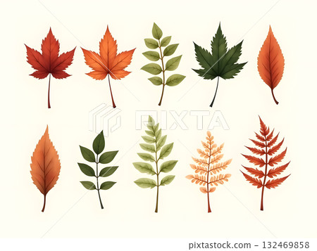 Diverse Collection of Stylized Autumn Leaves Diverse Collection of Stylized Autumn Leaves 132469858