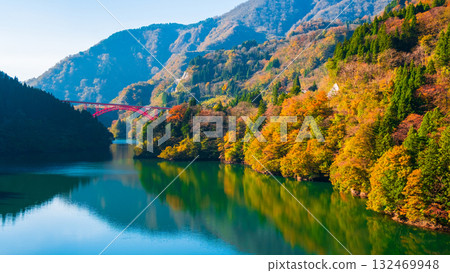 Shogawa Gorge (Autumn) 132469948