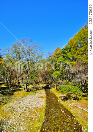 奧日光的紅葉、富山澤河、吊橋 奧日光的紅葉、富山澤河、吊橋 132470626