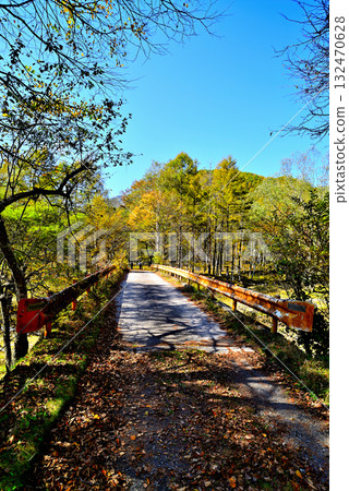 奧日光的紅葉、富山澤河、吊橋 奧日光的紅葉、富山澤河、吊橋 132470628